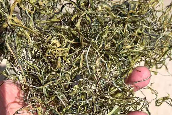 Dried Wakame Shreds